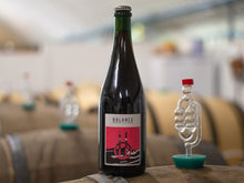 Load image into Gallery viewer, Jam - Balance Brewing & Blending - Wild Ale Saison with Damsons, 6%, 375ml Bottle
