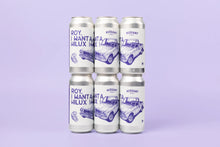 Load image into Gallery viewer, Roy I Want A Hilux - Verdant Brewing Co - Pale Ale, 5.2%, 440ml Can