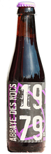 Load image into Gallery viewer, Bruin Abbaye des Rocs - Brasserie de l'Abbaye des Rocs - Belgian Brune, 9%, 330ml Bottle