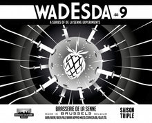 Load image into Gallery viewer, Wadesda #9 - Brasserie de la Senne X Brasserie Cantillon - Triple Saison, 8%, 330ml Bottle