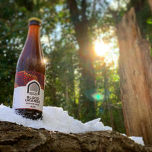 Load image into Gallery viewer, Blood Orange Session Sour - Vault City - Blood Orange Session Sour, 4.5%, 330ml Bottle