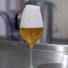 Load image into Gallery viewer, Ad Infinitum - Epochal Barrel Fermented Ales - Oak Aged Scottish Pale Ale, 5.5%, 375ml Bottle