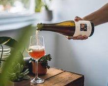 Load image into Gallery viewer, Rosa - Track Brewing Co - Red Wine Barrel Aged Wild Ale with Damson & Plum, 6.8%, 375ml Bottle