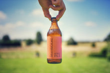Load image into Gallery viewer, Noble Pils - Braybrooke - Pilsner, 4.4%, 330ml Bottle
