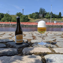 Load image into Gallery viewer, Siphonaptera - Epochal Barrel Fermented Ales - Oak Aged Scottish Table Beer, 3.8%, 375ml Bottle