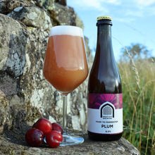 Load image into Gallery viewer, Farm To Fermenter Plum - Vault City - Plum Sour Ale, 6.5%, 375ml Bottle