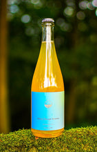 Load image into Gallery viewer, Sifting Through Remains - Cloudwater X Oliver's - Barrel Fermented Perry, 6.1%, 750ml Cider Sharing Bottle