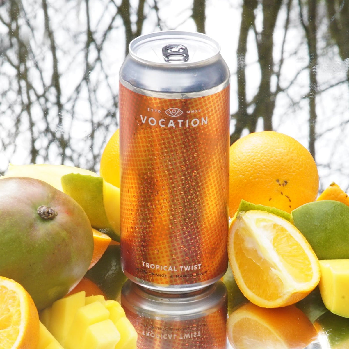 Tropical Twist Vocation Brewery Orange & Mango Sour, 8, 440ml Can