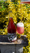 Load image into Gallery viewer, Il Vigneto - Pastore Brewing - Mixed Fermentation Saison conditioned on Pinot Noir Pomace, 7%, 750ml Sharing Beer Bottle