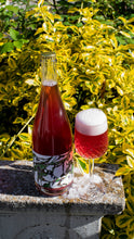 Load image into Gallery viewer, Il Vigneto - Pastore Brewing - Mixed Fermentation Saison conditioned on Pinot Noir Pomace, 7%, 750ml Sharing Beer Bottle