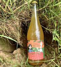 Load image into Gallery viewer, Table Cider - Little Pomona - Table Cider, 7.3%, 750ml Bottle