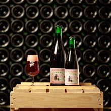 Load image into Gallery viewer, Rosé de Gambrinus - Brasserie Cantillon - Belgian Raspberry Lambic, 5%, 750ml Sharing Bottle