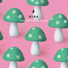 Load image into Gallery viewer, Riba - Garage Beer Co - Unfiltered Pils, 5%, 330ml Can
