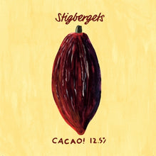Load image into Gallery viewer, Cacao! - Stigbergets - Cacao Imperial Stout, 12.5%, 330ml Can