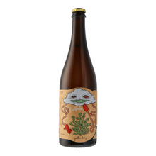 Load image into Gallery viewer, Cloudfeeder - Jester King X Tired Hands - Farmhouse Ale with Honey, Grapefruit Lime, 4.5%, 750ml Sharing Bottles