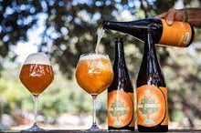 Load image into Gallery viewer, Soul Conduit Batch 3 - Jester King - Gin Barrel Aged Table Beer Refermented with Lime & Basil, 5.2%, 750ml Sharing Bottles