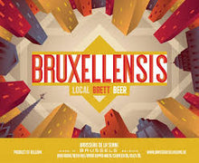 Load image into Gallery viewer, Bruxellensis - Brasserie de la Senne - Belgian Brett Beer, 6.5%, 330ml Bottle