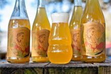 Load image into Gallery viewer, Farmhouse Ale Texas Summer Melons - Jester King - Farmhouse Ale Refermented With Texas Summer Melons, 5.8%, 750ml Sharing Bottles