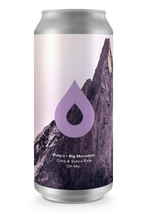 Load image into Gallery viewer, Oh My.. - Polly's Brew Co X Big Mountain - Citra & Sabro Pale, 5.8%, 440ml Can