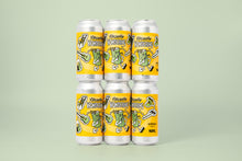 Load image into Gallery viewer, Literally Wondering - Verdant Brewing Co X Floc Brewing Project - DIPA, 8.5%, 440ml Can