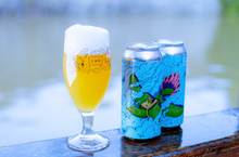 Load image into Gallery viewer, Twisted Kites - Left Handed Giant - Fruited Gose with Kiwi, Gooseberry and Sea Salt, 5%, 440ml Can