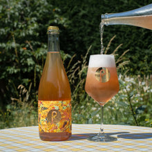 Load image into Gallery viewer, Il Vigneto Bianco 2022 - Pastore Brewing - Golden Wild Ale w/ Chardonnay Skins, 6%, 750ml Sharing Bottle
