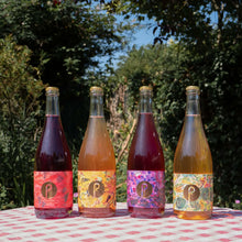 Load image into Gallery viewer, Il Vigneto Bianco 2022 - Pastore Brewing - Golden Wild Ale w/ Chardonnay Skins, 6%, 750ml Sharing Bottle
