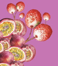 Load image into Gallery viewer, Cognas Itchy Passions - Brewski - Lychee &amp; Passionfruit Sour Ale, 4%, 330ml Can
