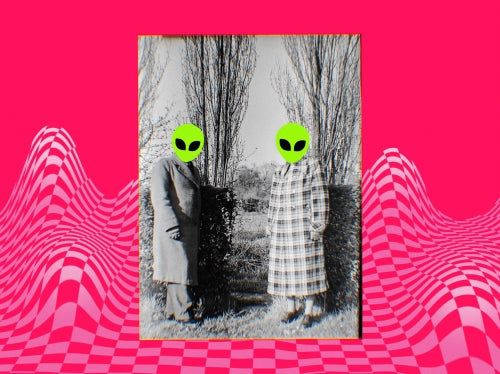 Alien by Choice - Elm Eleven - Blackcurrant Guava Passionfruit Biscuit Crumble Sour, 6%, 440ml Can