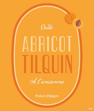 Load image into Gallery viewer, Oude Abricot Tilquin à l’ancienne - Gueuzerie Tilquin - Apricot Lambic, 6.3%, 750ml Sharing Bottle
