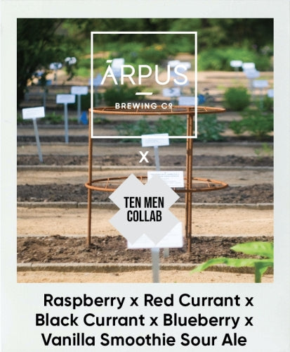 Raspberry x Blueberry x Red Currant x Black Currant x Vanilla Smoothie Sour - Arpus Brewing Co X Ten Men Brewery - Raspberry x Blueberry x Red Currant x Black Currant x Vanilla Smoothie Sour, 4.5%, 440ml Can