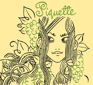 Piquette - Burning Sky - Mixed Ferm Saison with Chardonnay Grapes, 5.6%, 750ml Bottle