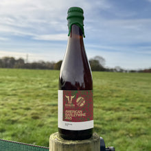 Load image into Gallery viewer, American Barleywine 2025 - Rivington Brewing Co X Brasserie Hoppy People - American Barley Wine, 10.5%, 375ml Bottle
