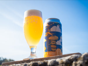 Stepping Stones - Left Handed Giant - Fruited Gose with Kiwi, Honeydew, Lime and Sea Salt, 5.5%, 440ml Can