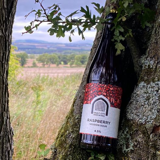 Raspberry Session Sour - Vault City - Raspberry Session Sour, 4.5%, 330ml Bottle