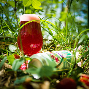 Forager & Fluff - Basqueland Brewing - Pastry Sour with Strawberry, Raspberry, Sour Cherry & Marshmallow, 6.9%, 440ml Can