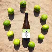 Load image into Gallery viewer, Key Lime Pie - Vault City - Key Lime Pie, 7.5%, 375ml Bottle
