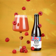 Load image into Gallery viewer, Raspberry Skies - Vault City - Raspberry Sour, 8.5%, 375ml Bottle

