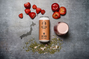 OFS025 - Northern Monk - Strawberry Plum Sakura Fruited Beer, 4.5%, 440ml Can