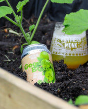 Load image into Gallery viewer, Gooseberry Bush - Northern Monk - Fruited Sea-Salt Gose, 4.5%, 330ml Can
