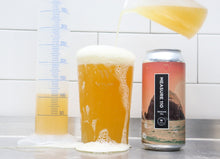 Load image into Gallery viewer, Measure 110 - Wylam Brewery - Session IPA, 5.4%, 440ml Can
