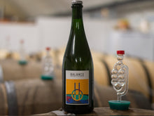 Load image into Gallery viewer, Saison De Maison - Balance Brewing &amp; Blending - Bretted Saison with Goldings, 6%, 750ml Bottle
