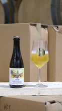 Load image into Gallery viewer, Reincarnazione Pineapple Chardonnay - Pastore Brewing - Golden Ale with Spent Chardonnay Skins &amp; Pineapples, 6%, 375ml Bottle
