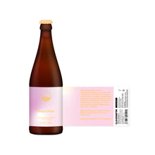 Load image into Gallery viewer, Going Further - Cloudwater - Blend of Barrel-Fermented Cider &amp; Lager, 7%, 375ml Bottle
