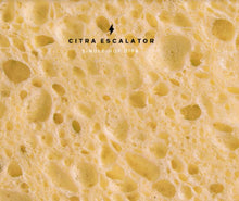 Load image into Gallery viewer, Citra Escalator - Garage Beer Co - Single Hop DIPA, 8%, 440ml Can
