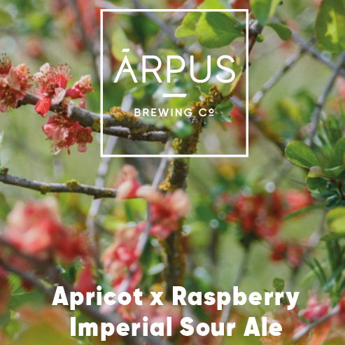 Apricot x Raspberry Imperial Sour Ale - Arpus Brewing Co - Apricot x Raspberry Imperial Sour Ale, 8%, 440ml Can
