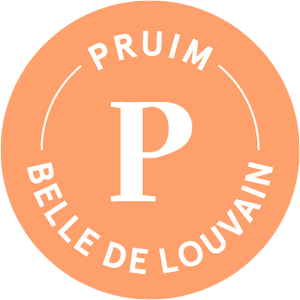 Pruim Belle De Louvain 2020/21 Blend 9 - Brouwerij 3 Fonteinen - Belgian Plum Lambic, 6.8%, 750ml Sharing Bottle