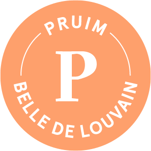 Pruim Belle De Louvain 2020/21 Blend 9 - Brouwerij 3 Fonteinen - Belgian Plum Lambic, 6.8%, 750ml Sharing Bottle