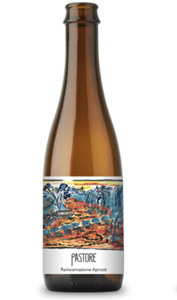 Reincarnazione Apricot - Pastore Brewing - Wild Ale with Second Use Apricots, 6.3%, 375ml Bottle