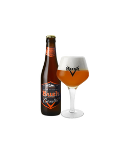 Bush Caractère - Brasserie Dubuisson - Belgian Strong Golden Ale, 12%, 330ml Bottle